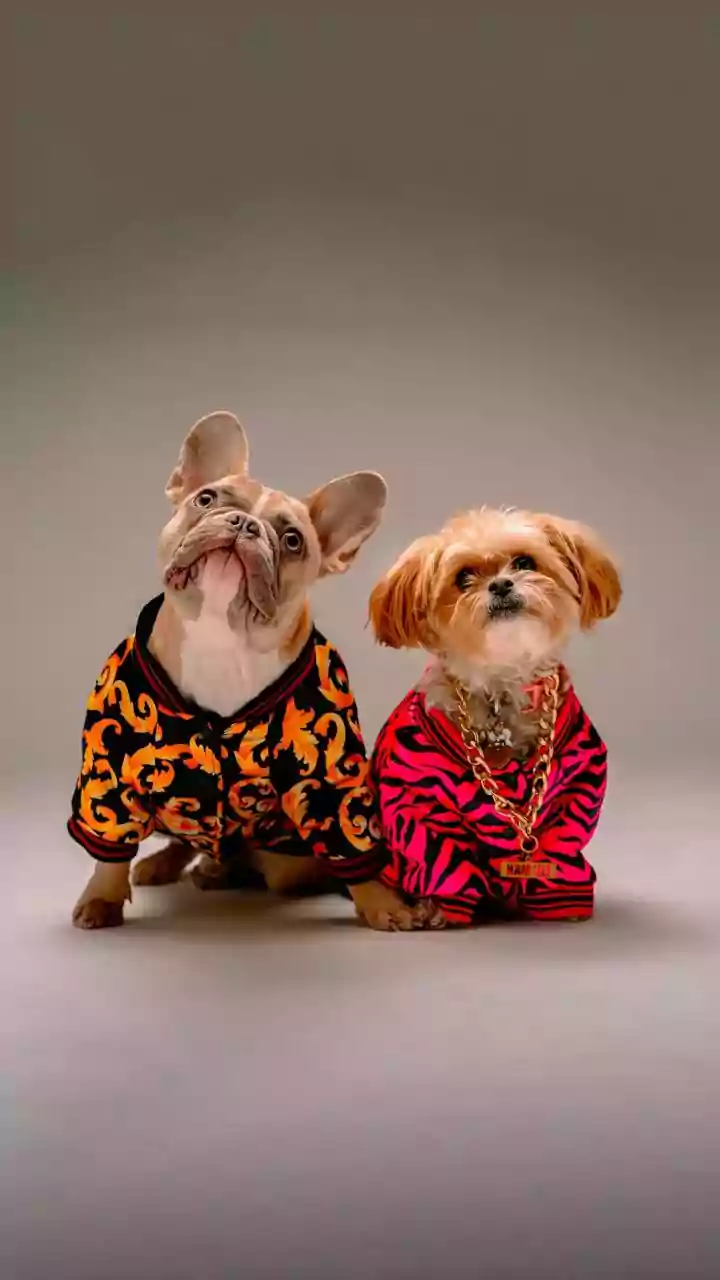 Decoding the Latest Celebrity Fashion Trends