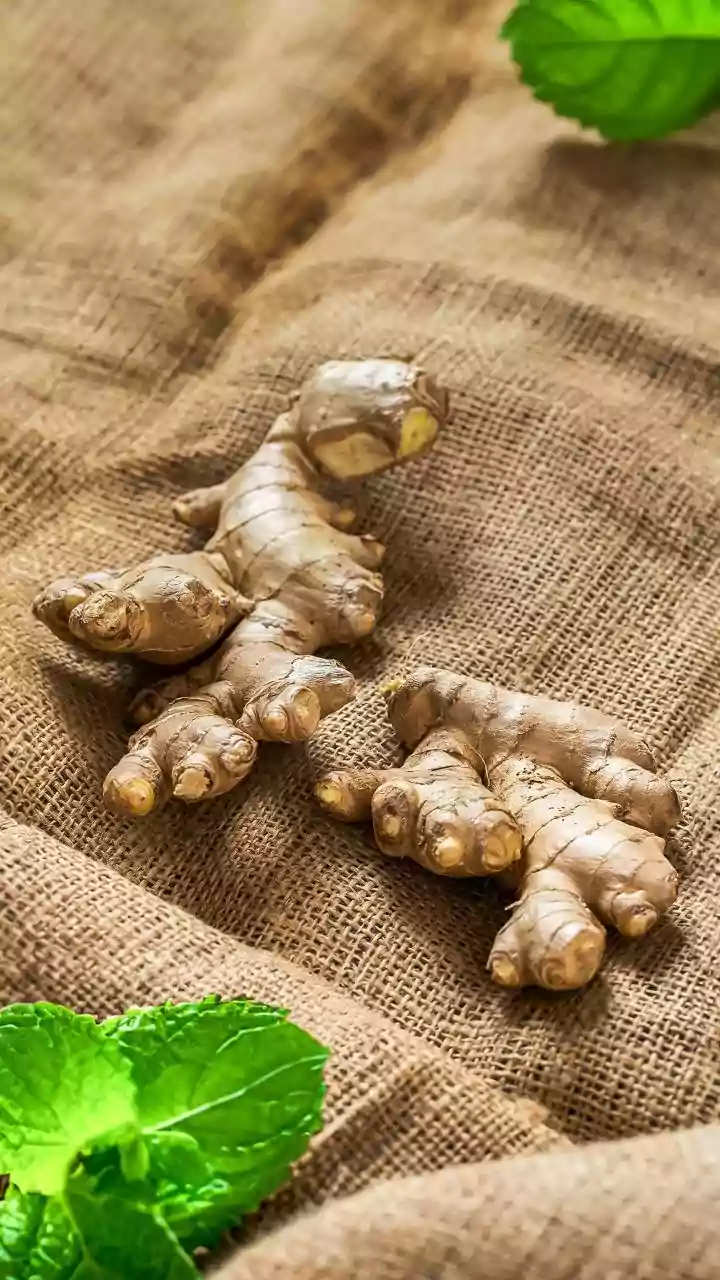Not Ginger, Not Turmeric: Galangal Has Range