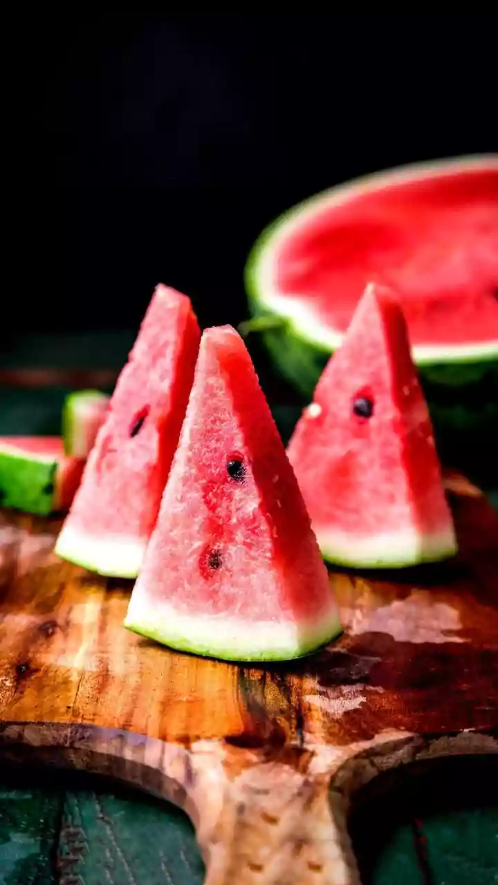 Furry Pups Devouring Cold Frozen Watermelon Slices Rule Pet Feeds