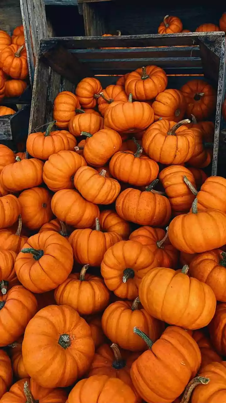 Costco Employee's Top 8 Picks This Month: Hidden Gems & Seasonal Must-Haves
