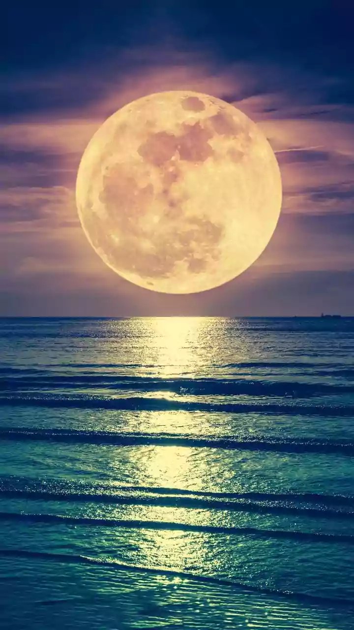 The ‘Wolf Supermoon’ will rise on January 3. It will be bigger and brighter