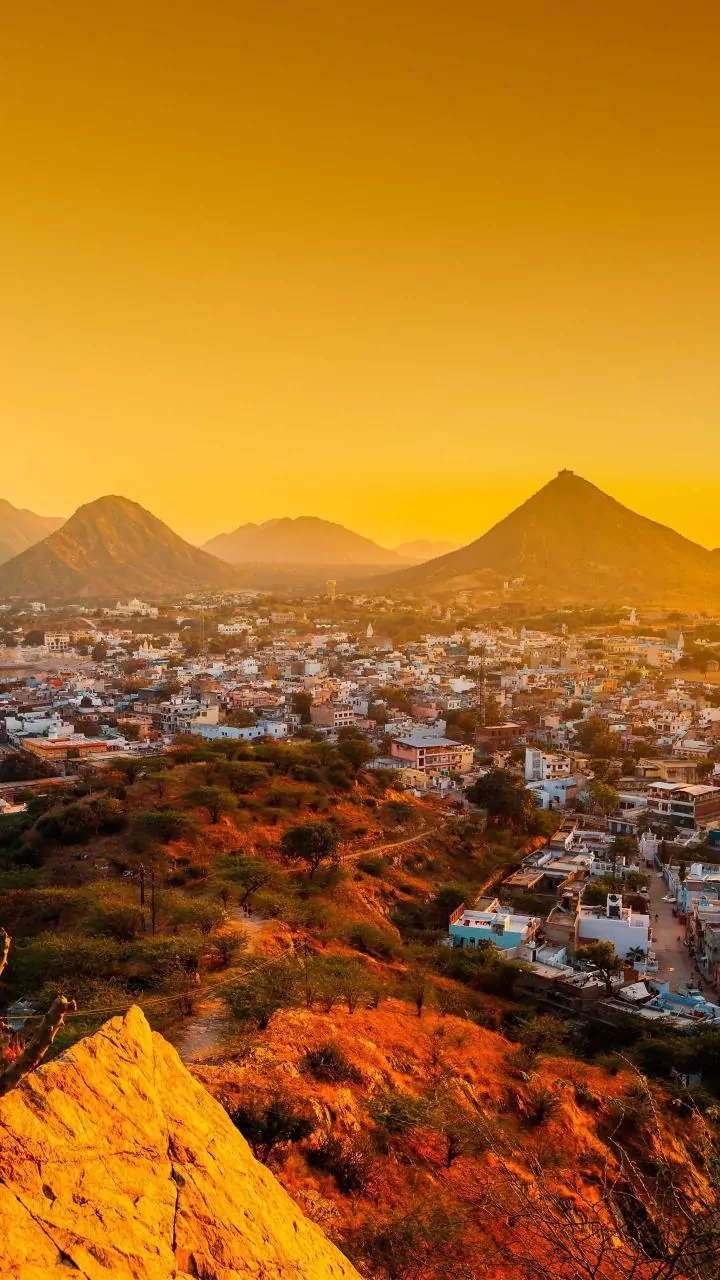 PM Modi Honored: A Glimpse into Global Recognition