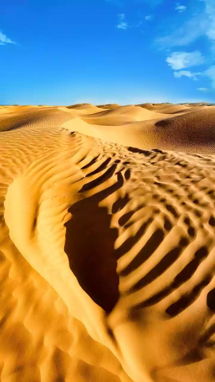 Snow in Saudi Arabia: A Winter Wonderland?