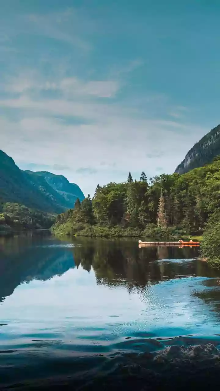 Awakening Within: Adyashanti's Path to Inner Peace Through Stillness