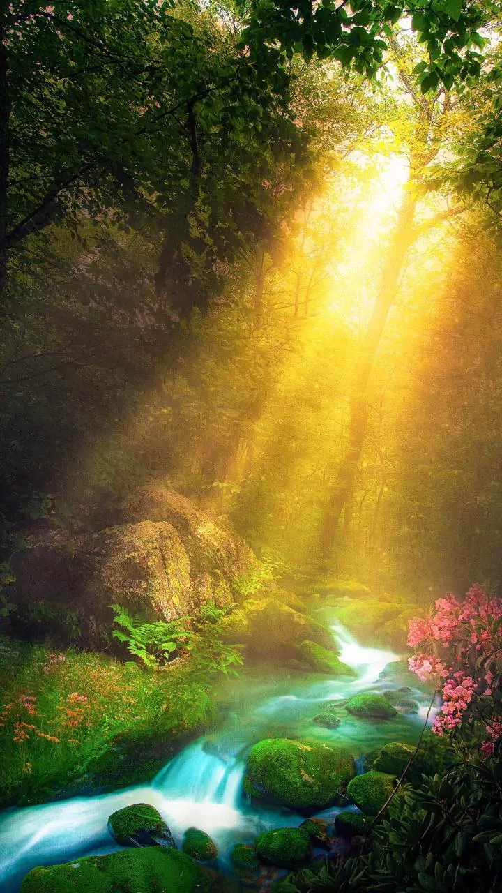 Pisces Lucky Day: March 16, 2026 - Rest Fuels Your Success!