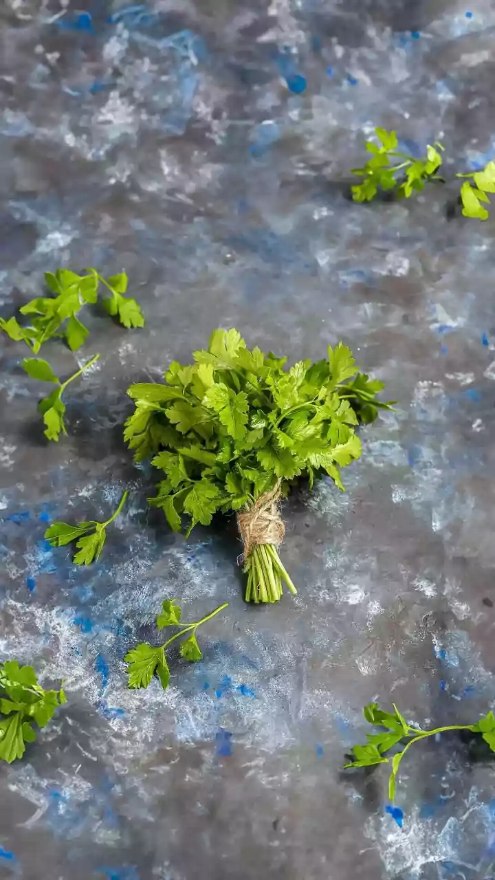 Easy Balcony Herbs For Beginners Who Don't Get Much Daily Sunlight