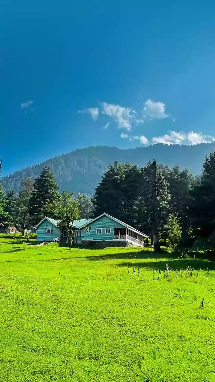 Bir Billing on a Budget: Your Ultimate Guide to Adventure and Serenity