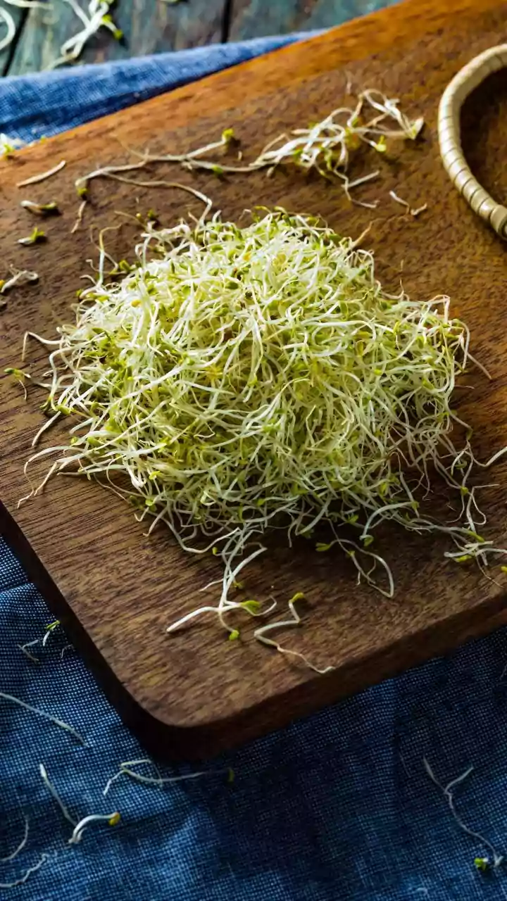 Heard of alfalfa seeds?