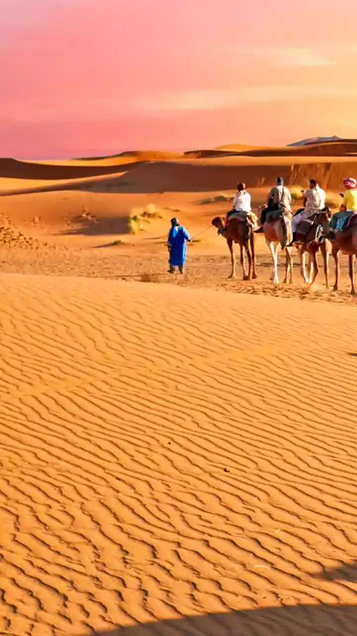 How to prepare for a desert horseback trek