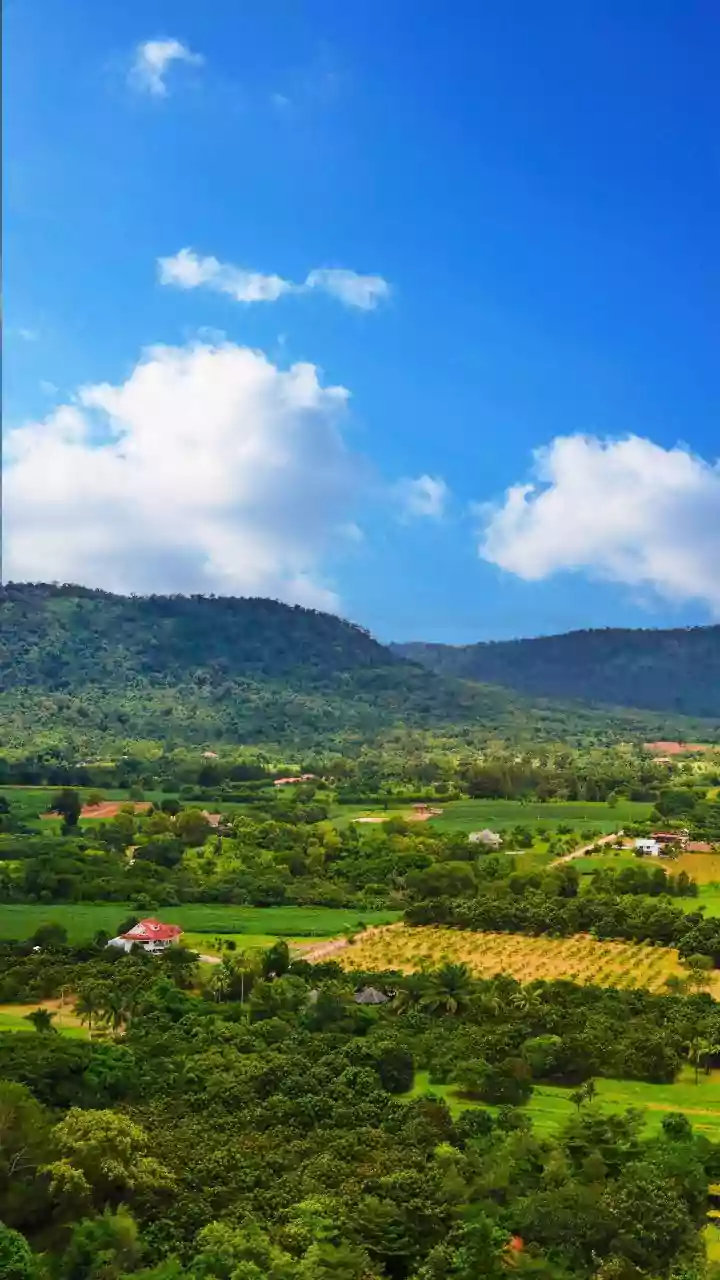 Urban Burnout Drives Spurt In Monsoon Detox Bookings At Araku Valley Homestays