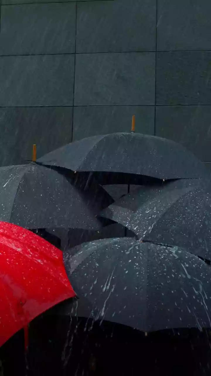 Bengal Braces for Heavy Rain, Action Taken