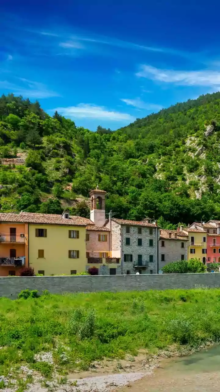 One Rural Spanish Offer Generated Thousands of Family Applications