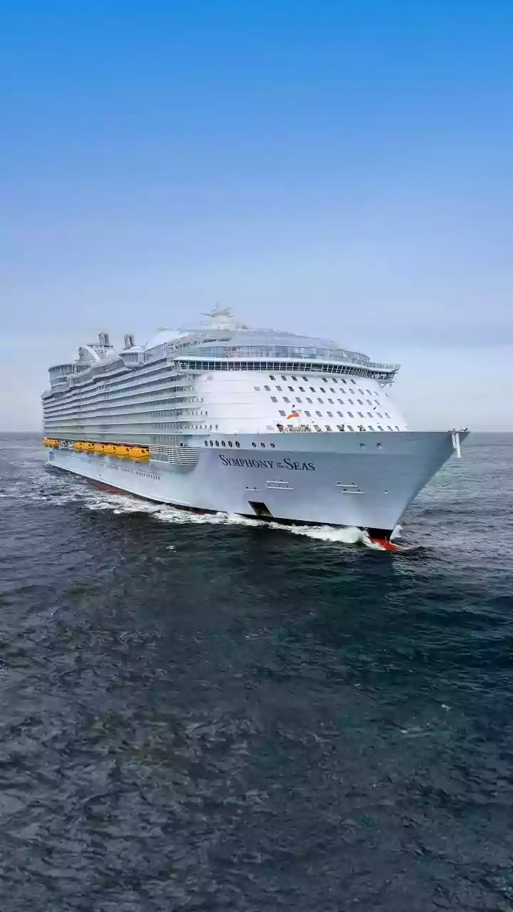 Three Patients Evacuated from Cruise Ship Amid Hantavirus Outbreak
