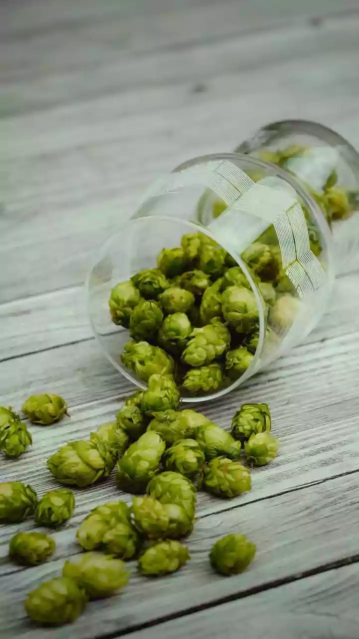 Millennials, Sthamba's Fruity Craft Beers Will Bring Back Memories of Childhood; This Andheri Brewery Also Serves Harry Potter Style Butterbeer