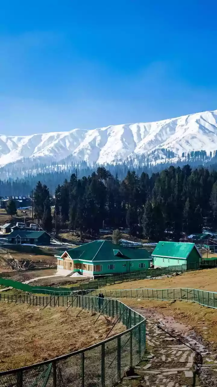 Kashmir & Punjab in Cold Snap: Mercury Drops Across North India