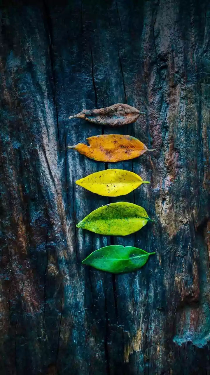 Psychology's Blueprint for Success: Cultivating Grit, Purpose, and a Growth Mindset