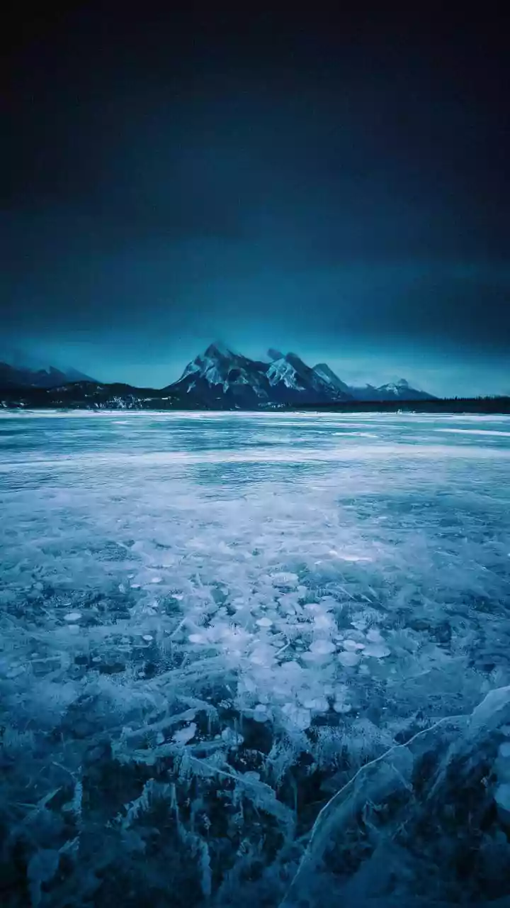 Trump's Davos Remarks: Economic Warnings and Greenland Focus