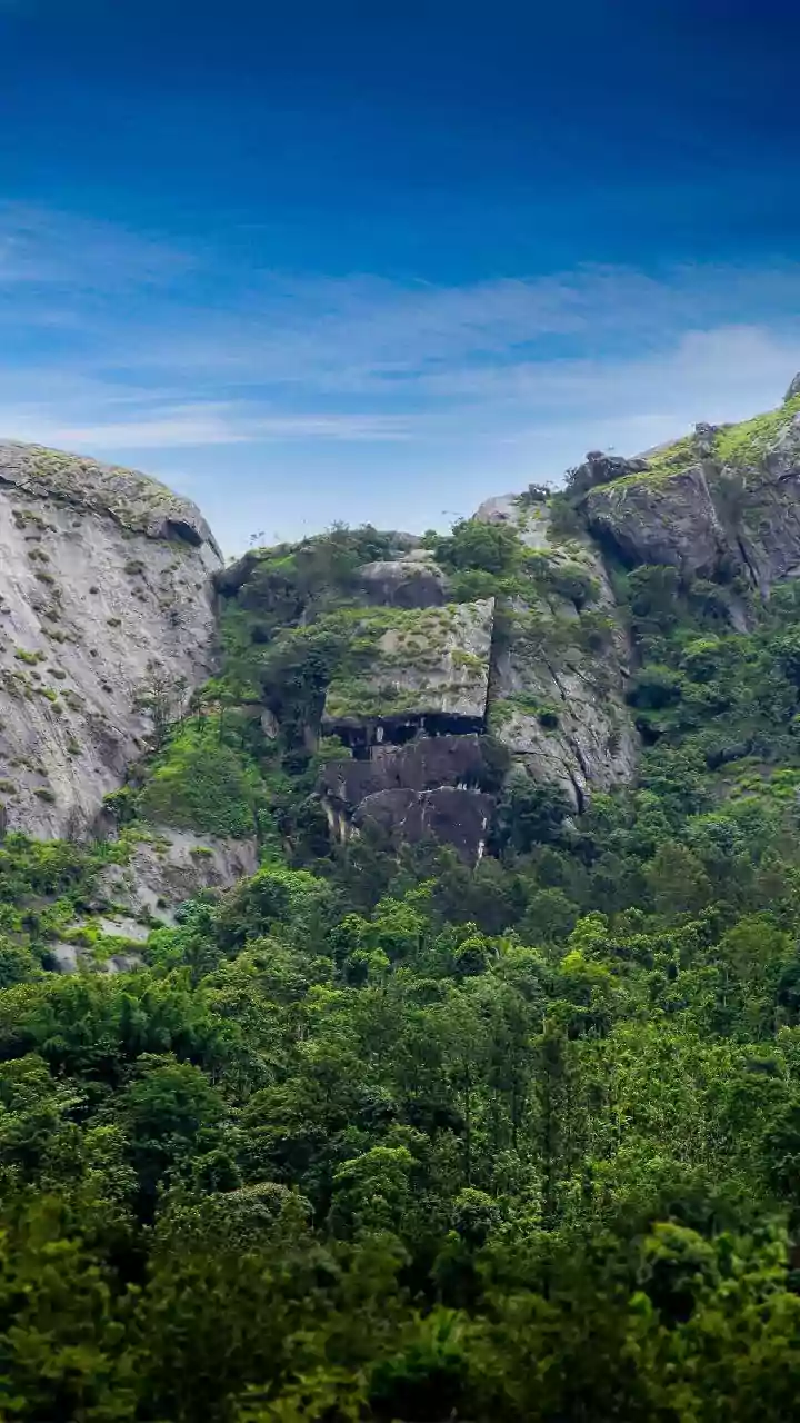 Nilgiri Mountain Railway Trends Among Budget Travellers For Scenic Heritage Routes
