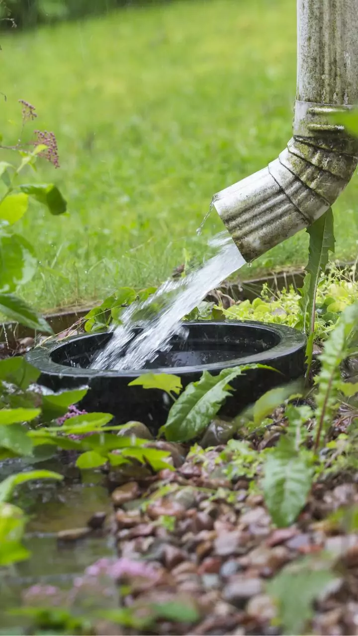Kids collect rainwater to turn science fairs into green projects