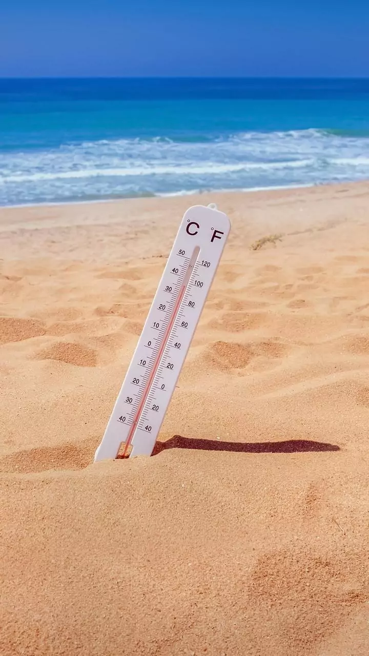 IMD sees steady heat—trend continues.