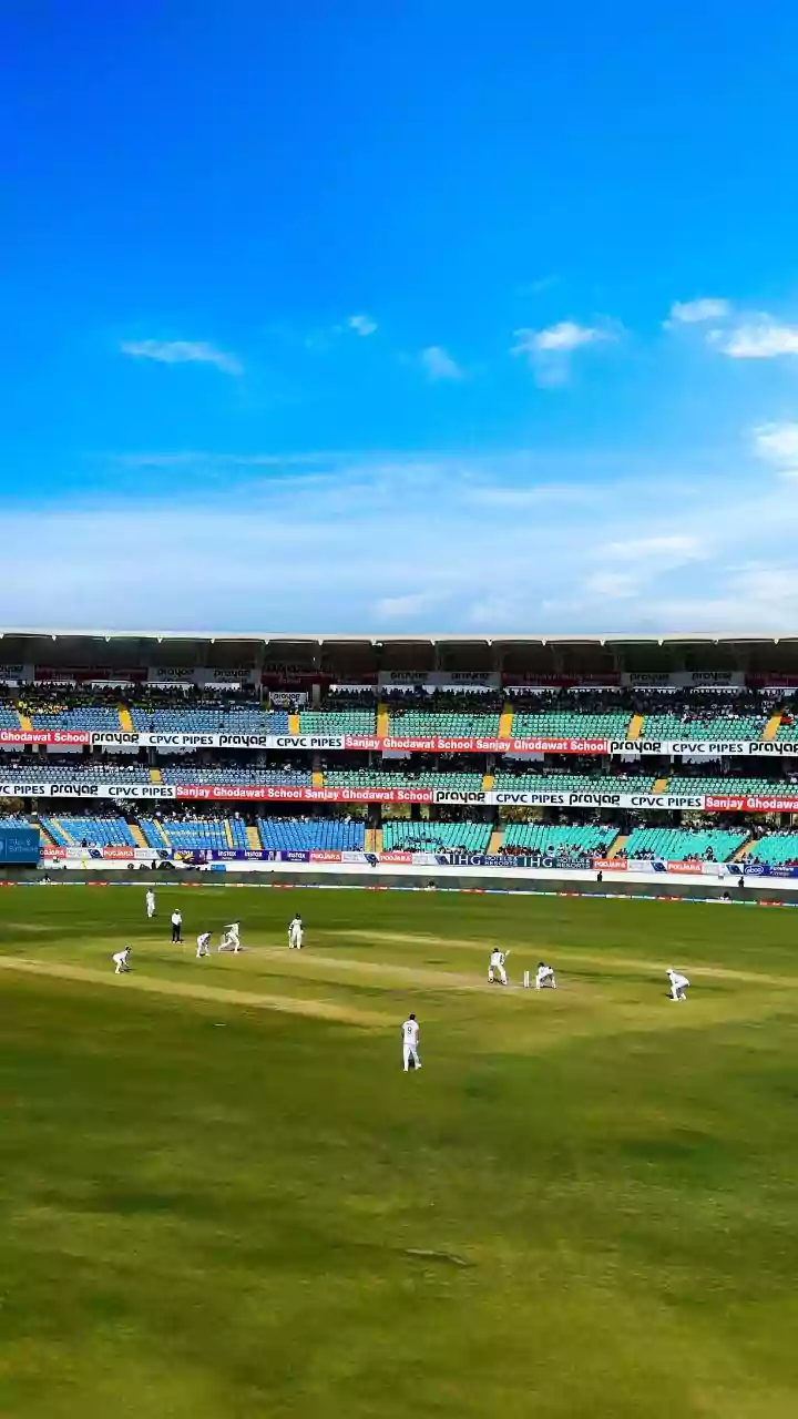 Umpire dies after bee swarm attack during cricket match in Kanpur