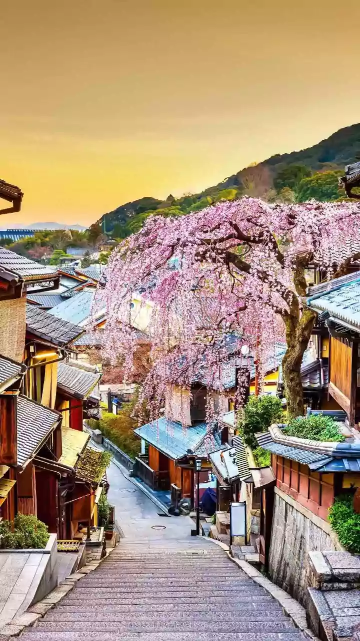 Unveiling Japan: 10 Etiquettes to Embrace for a Memorable Trip