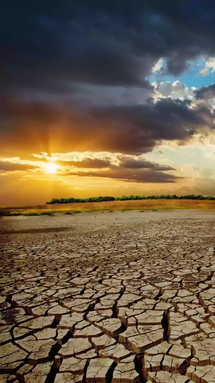 Summer Is Here: This Is How Being Dehydrated Impact Digestion, Skin, Brain Function