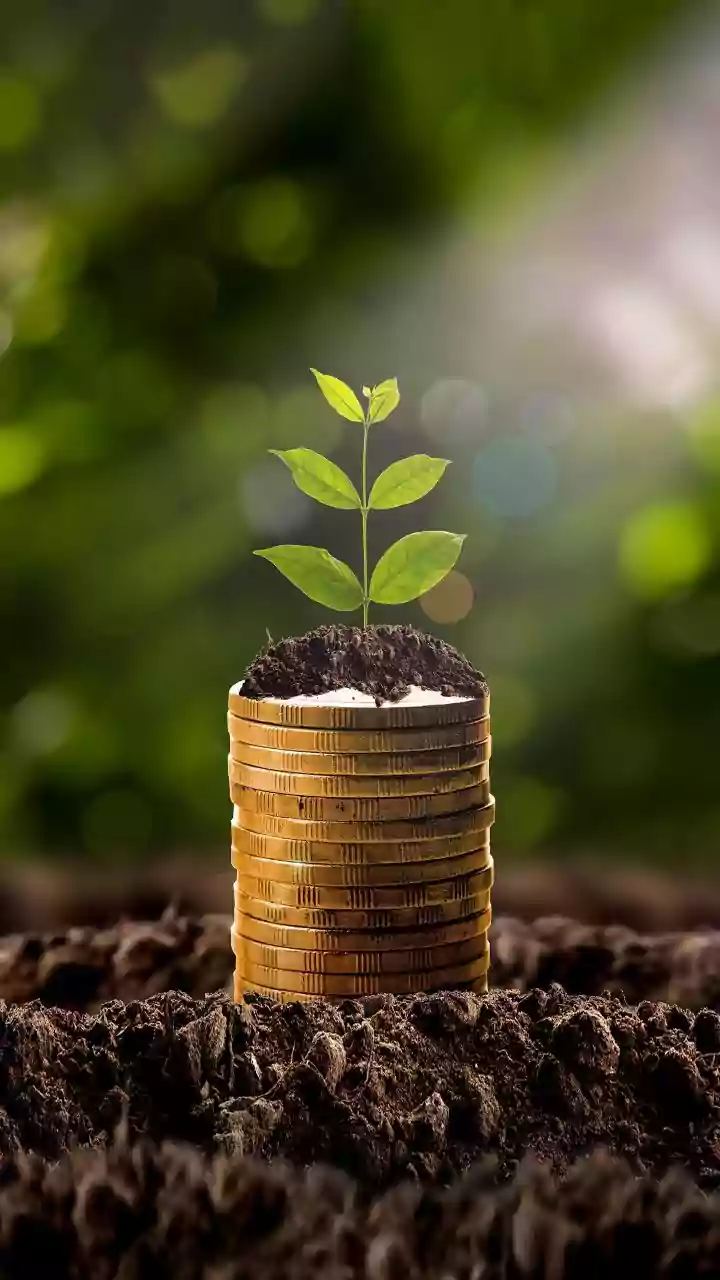 SIP vs PPF with Rs 1,44,000/year investment: Which can generate a higher corpus in 15 years?