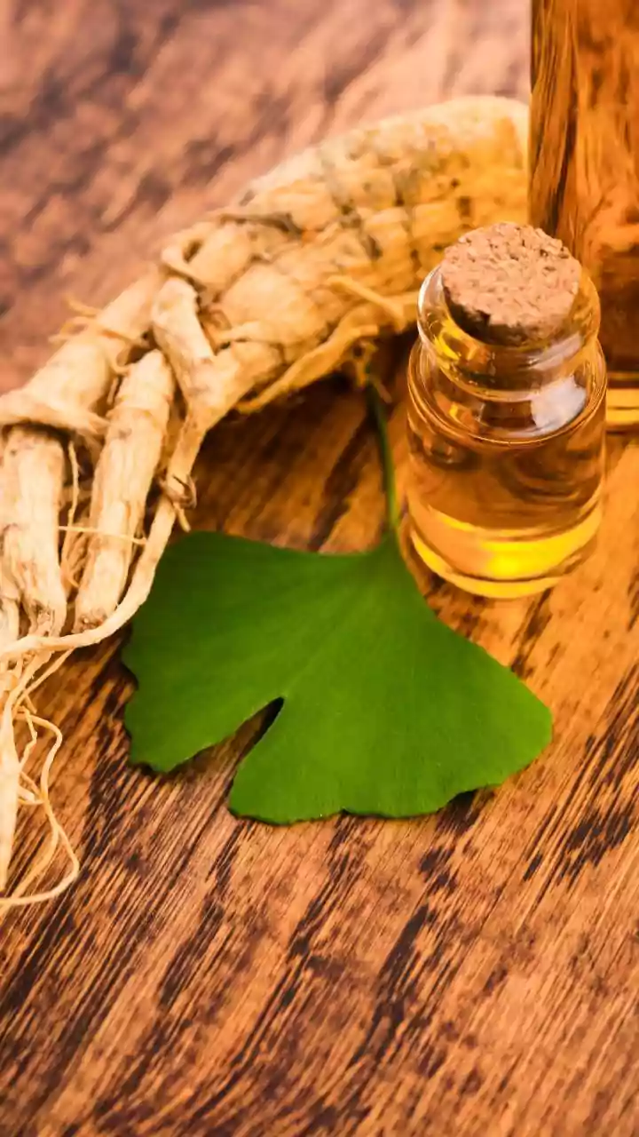 Ginkgo leaf motifs: All about this trending decor item