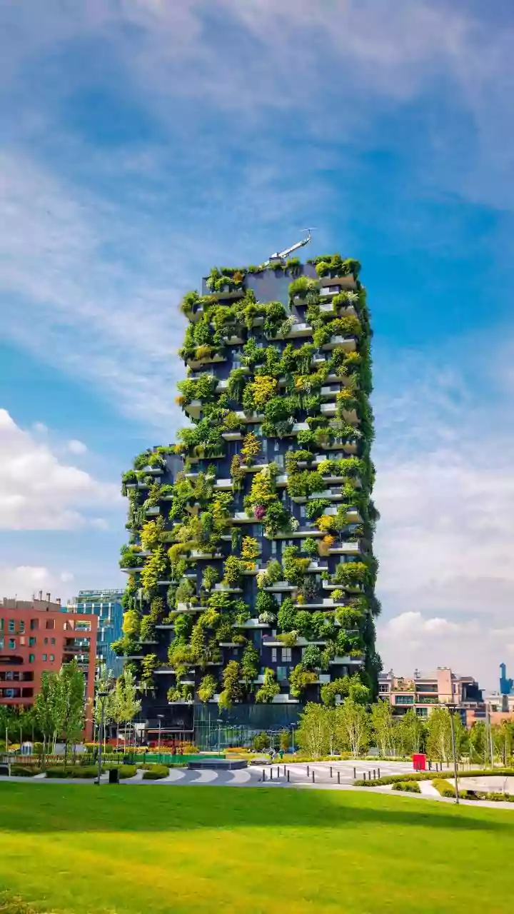 Why Urban Agriculture Is Declared Ultimate Future Proof Green