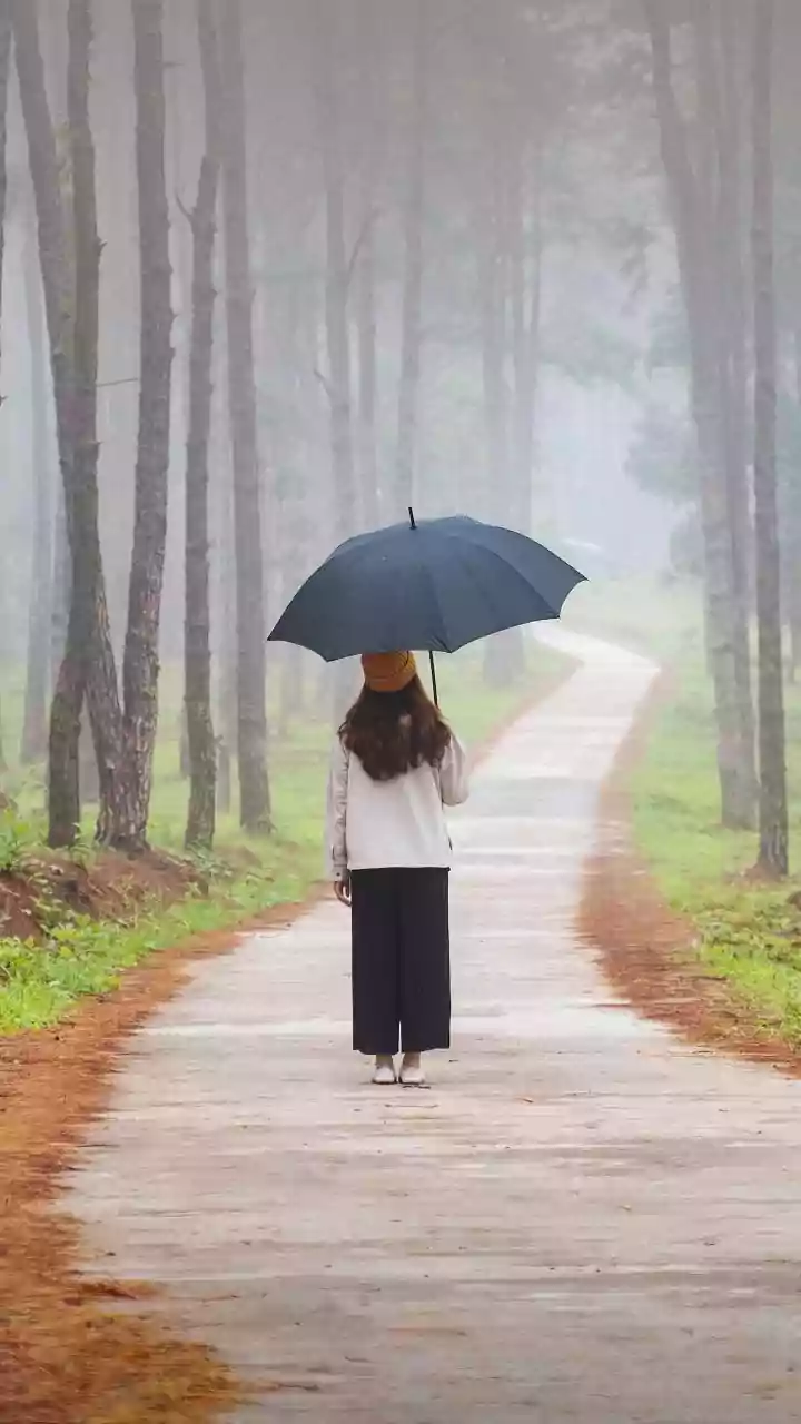 Why Rainy Season Coffee Estate Stays In Coorg Are Winning Heart Of Slow Travel Enthusiasts