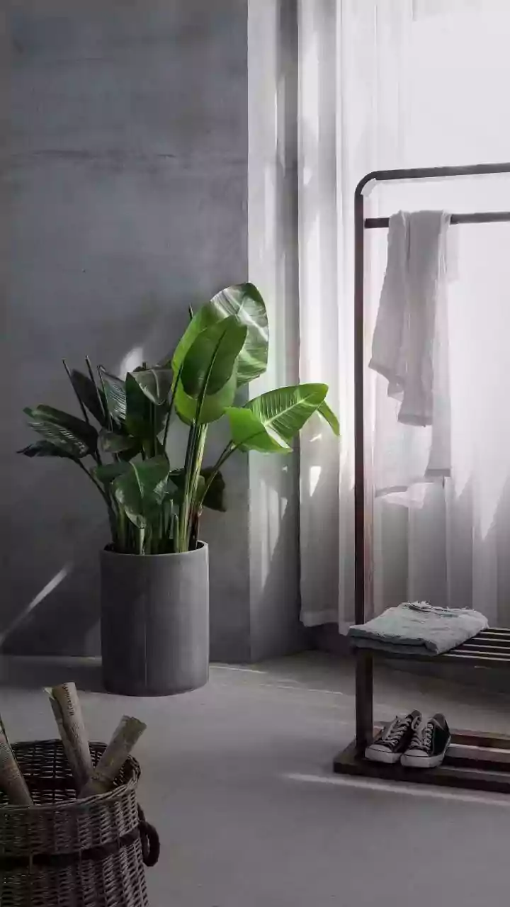 Indoor Laundry Turns Ventilation into a Monsoon Home-Care Priority