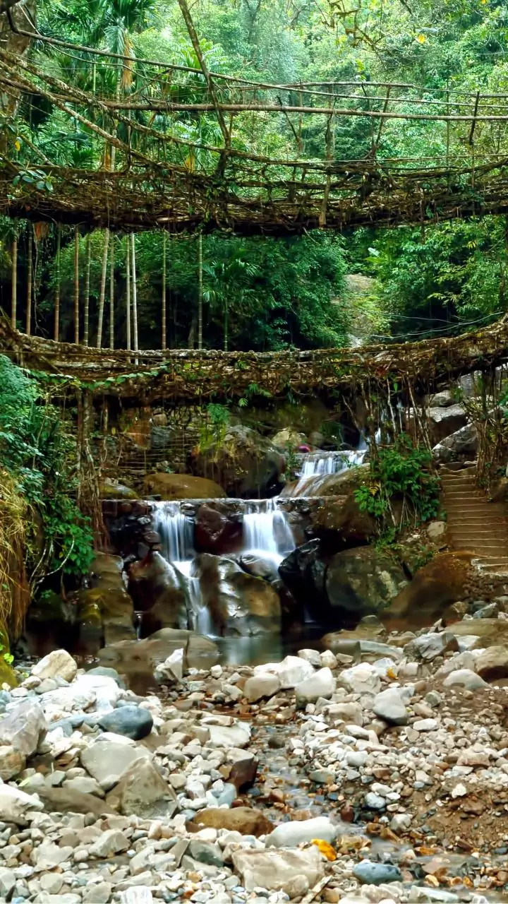 Meghalaya 7-Day Itinerary 2026: Hidden Waterfalls, Caves & Living Root Bridges