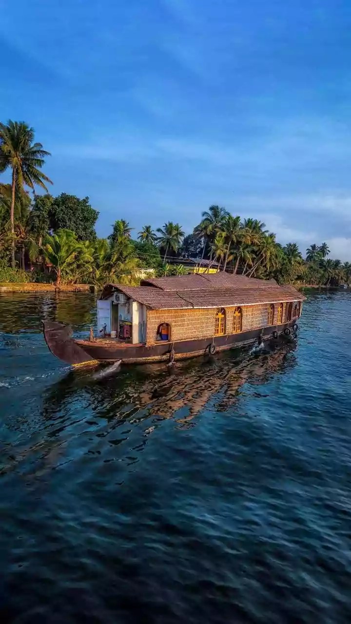 Kerala Ecosystem Check: How Scientists Identify Threatened Native Species And Natural Corridors