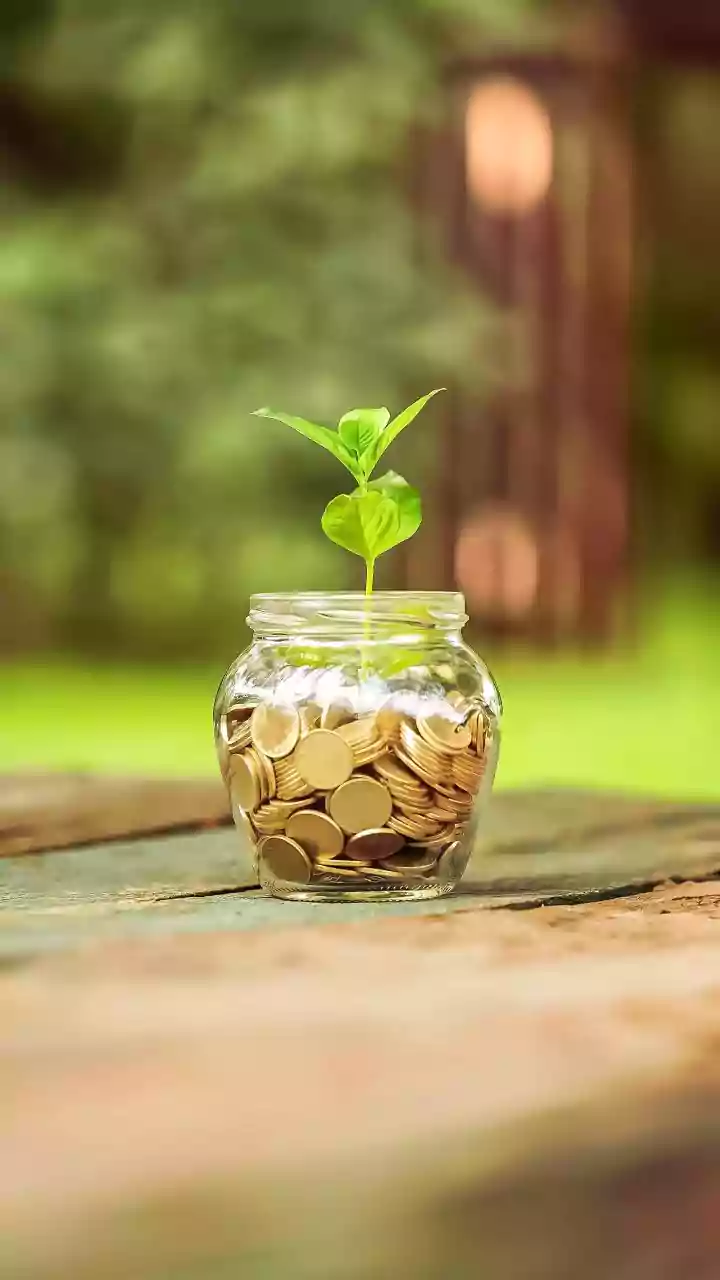 Decoding Hybrid Funds: A Guide for Indian Investors