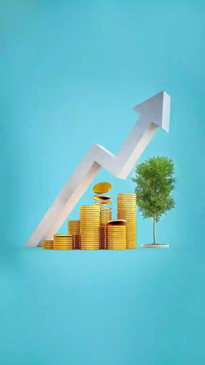 Navigating India's Investment Landscape: Top Funds & IPOs