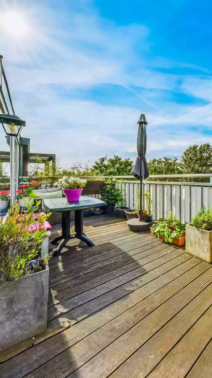 Why Balcony Herb Gardens Are Perfect For Beginners During The Rainy Season
