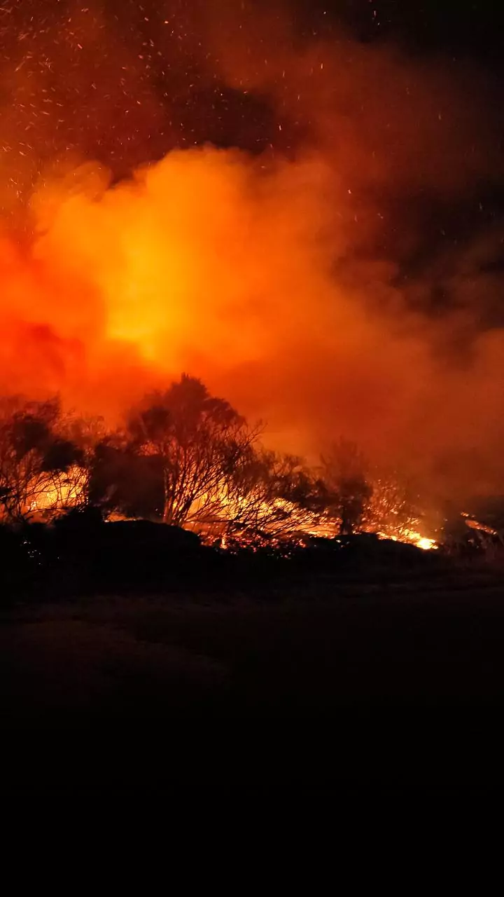 Blaze erupts in waste dump on open ground in Mumbai; no casualty