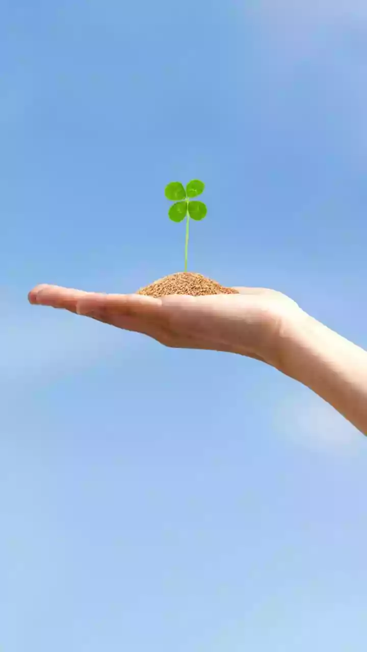 Smart Investment: Unlock Wealth Creation Strategies