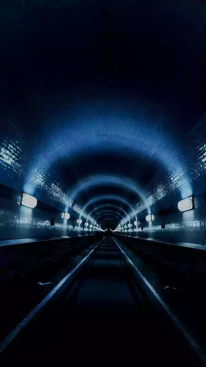 Borivali-Thane In 15 Minutes Sans Ghodbunder, WEH Traffic: Why SGNP Twin Tunnel Is BMC Poll Promise