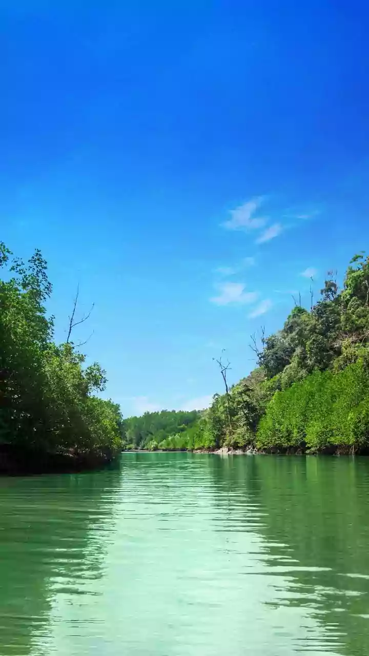 Sundarbans Mangrove Study: Real-Time Telemetry Tracks Rapid Tidal Flooding And Shore Line Shifts