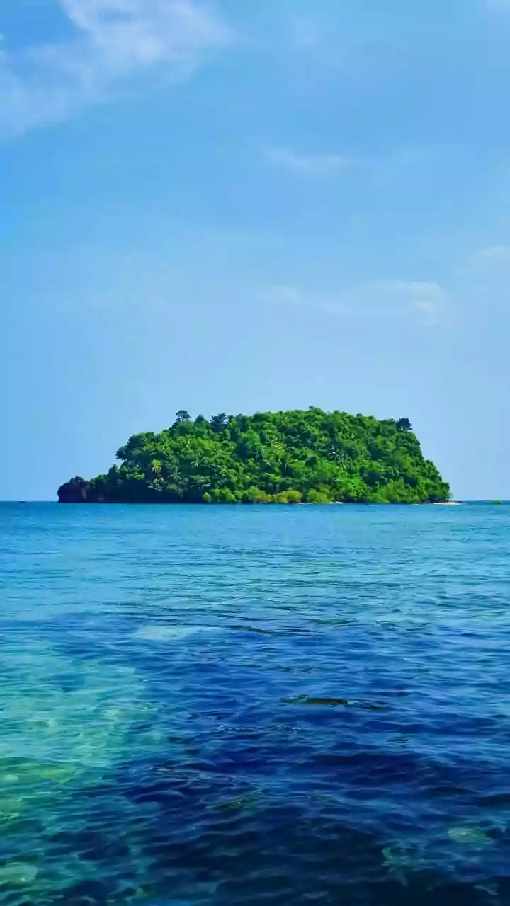 Why Young Tourists Choose Munroe Island Homestays For Peaceful Backwater Escapes