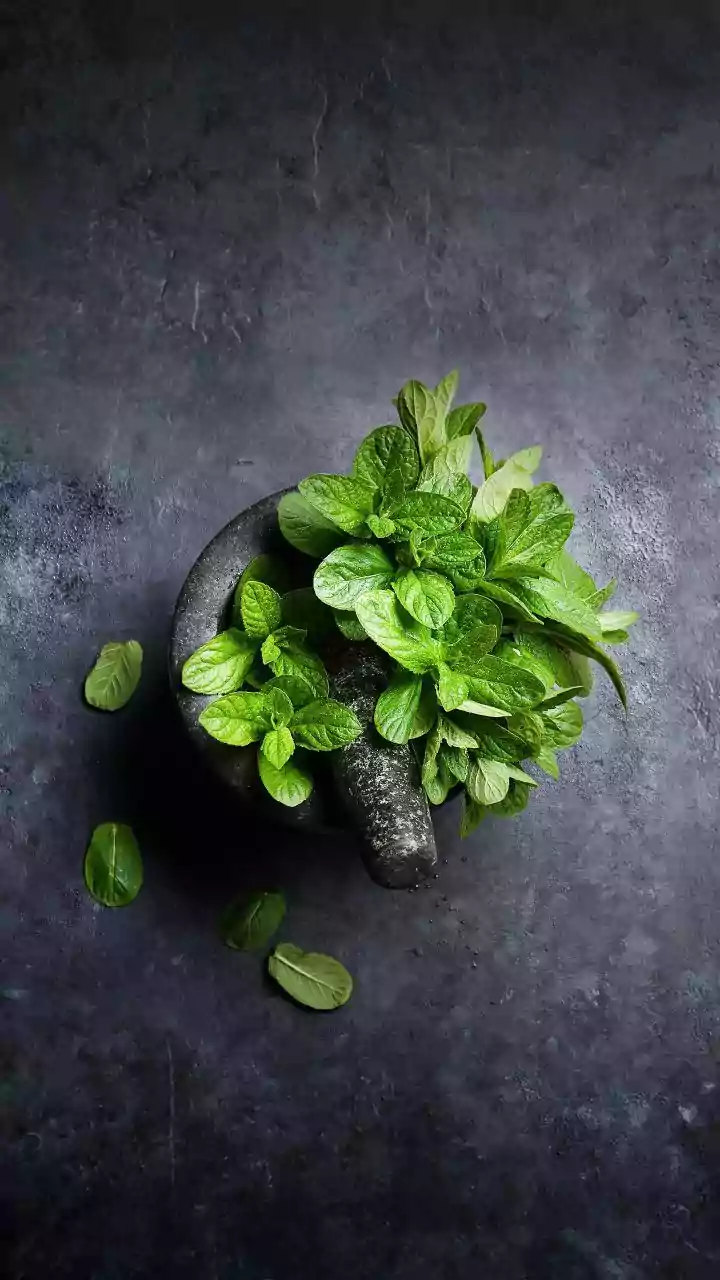 Coriander and mint stems turn into flavourful zero waste herb oil infusions