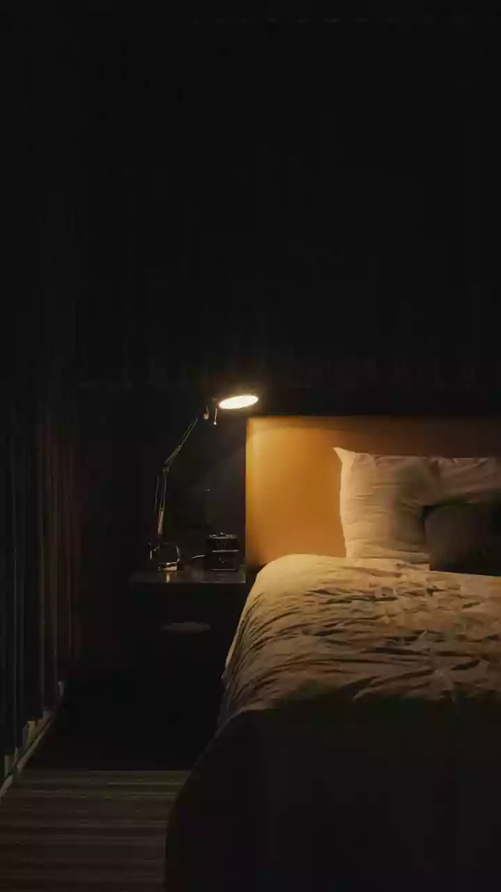 Unveiling the Intriguing World of Nocturnal Conversations