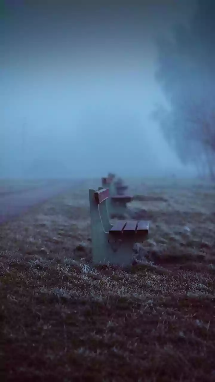 IMD Issues Alerts as Cold Wave and Dense Fog Intensify in North India