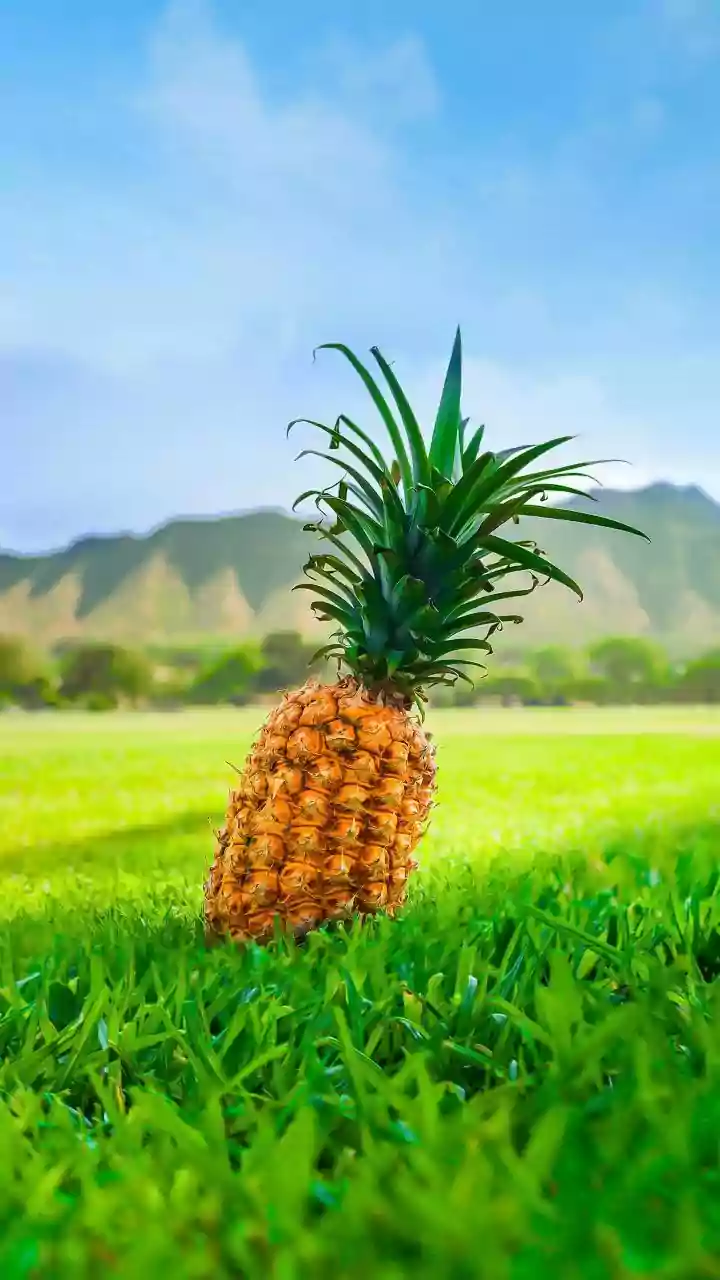 Why Pineapple Tingles: Mouth-Stinging Truths & Fixes!