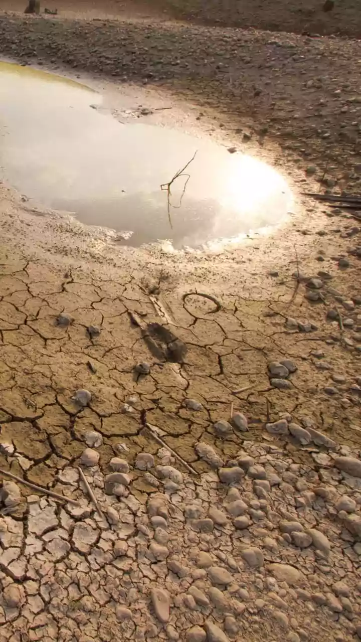 How Dry Spells After Rain Can Stress Kharif Crops