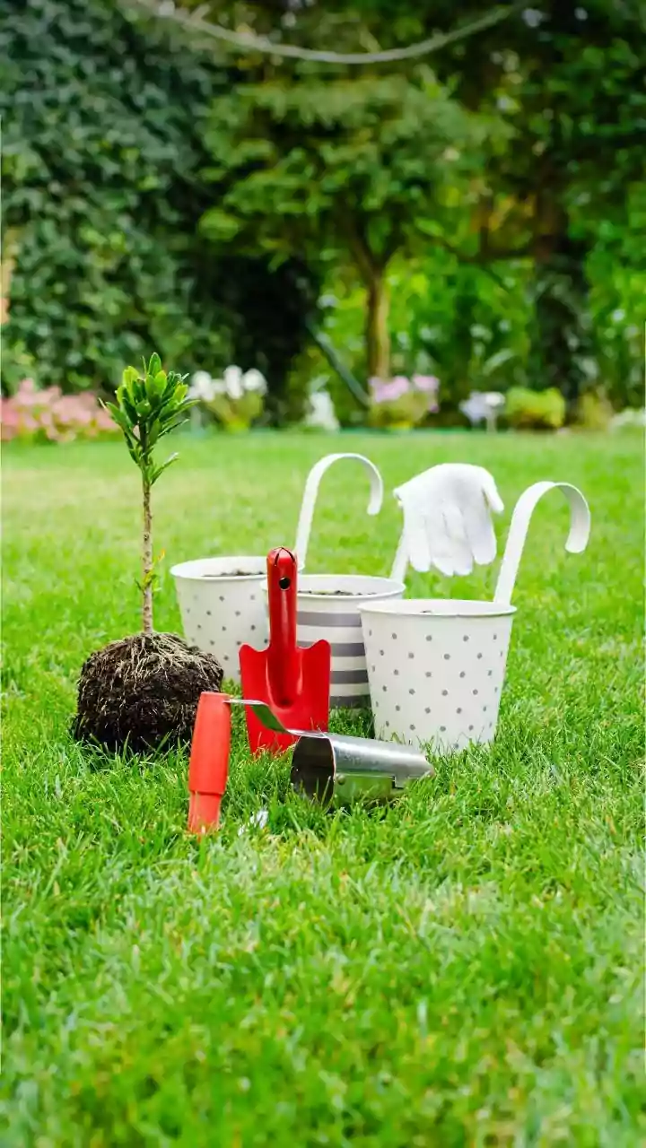 Balcony Plant Parents Prevent Root Rot Using Affordable IoT Soil Moisture Sensors