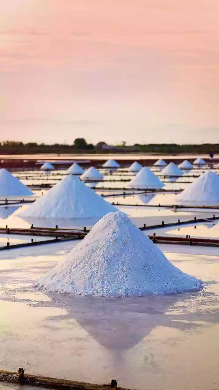 Thoothukudi salt pans turn into a haven for water birds amidst heavy rainfall