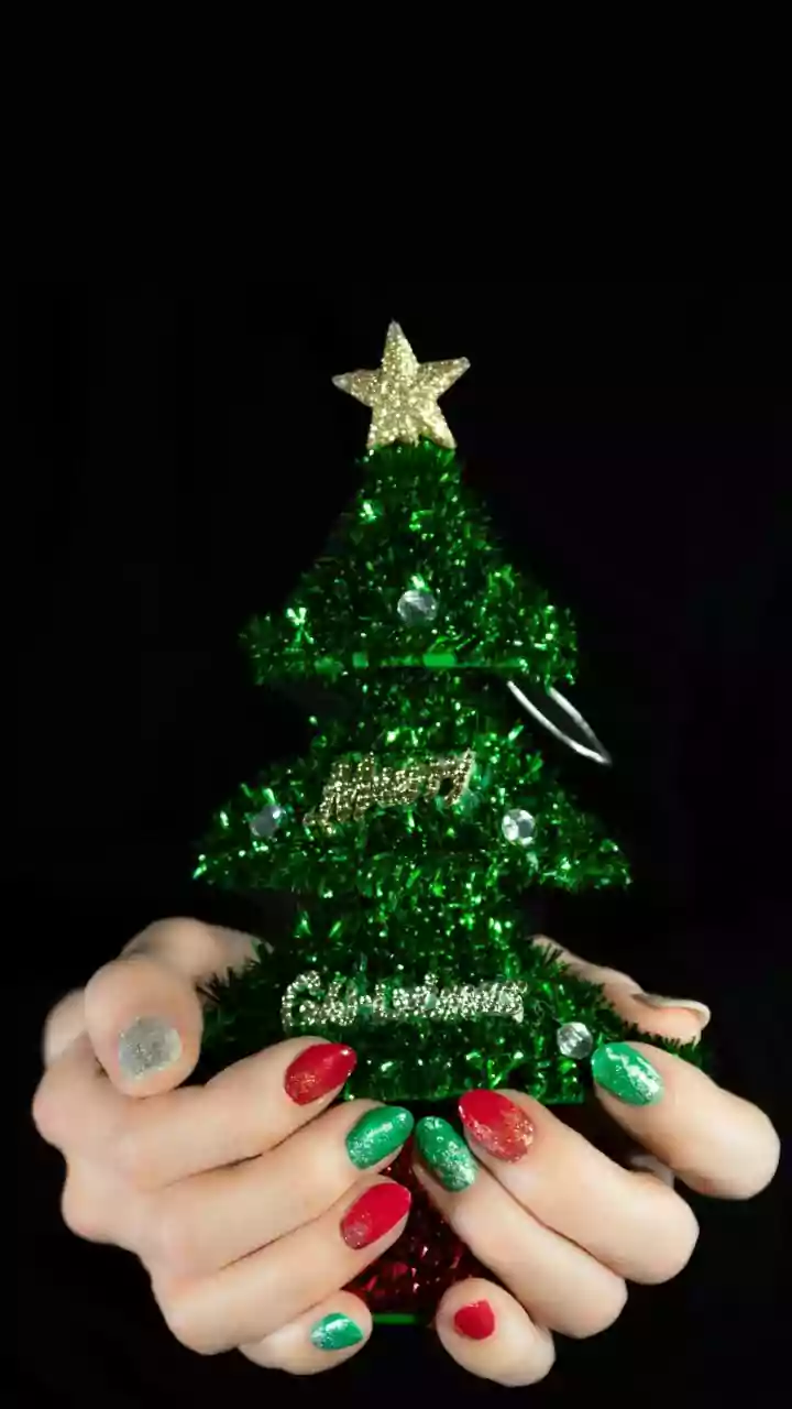 These Goan Women Welcomed Christmas By Crocheting 18 Ft. Tall Tree At Museum Of Goa; Know More Details